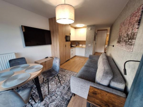 Krynica Centrum Parking -